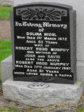 image number 19542